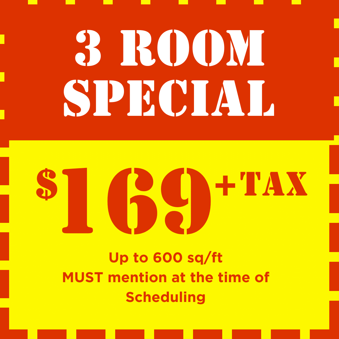 3 Room Carpet Cleaning Special by Harper Carpet Care