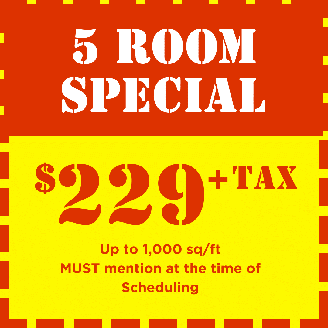 5 Room Carpet Cleaning Special by Harper Carpet Care