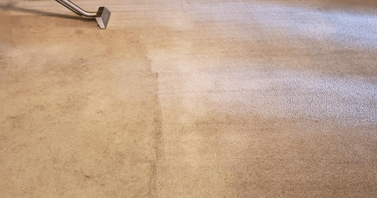 Why Your Carpet Smells Worse After Cleaning