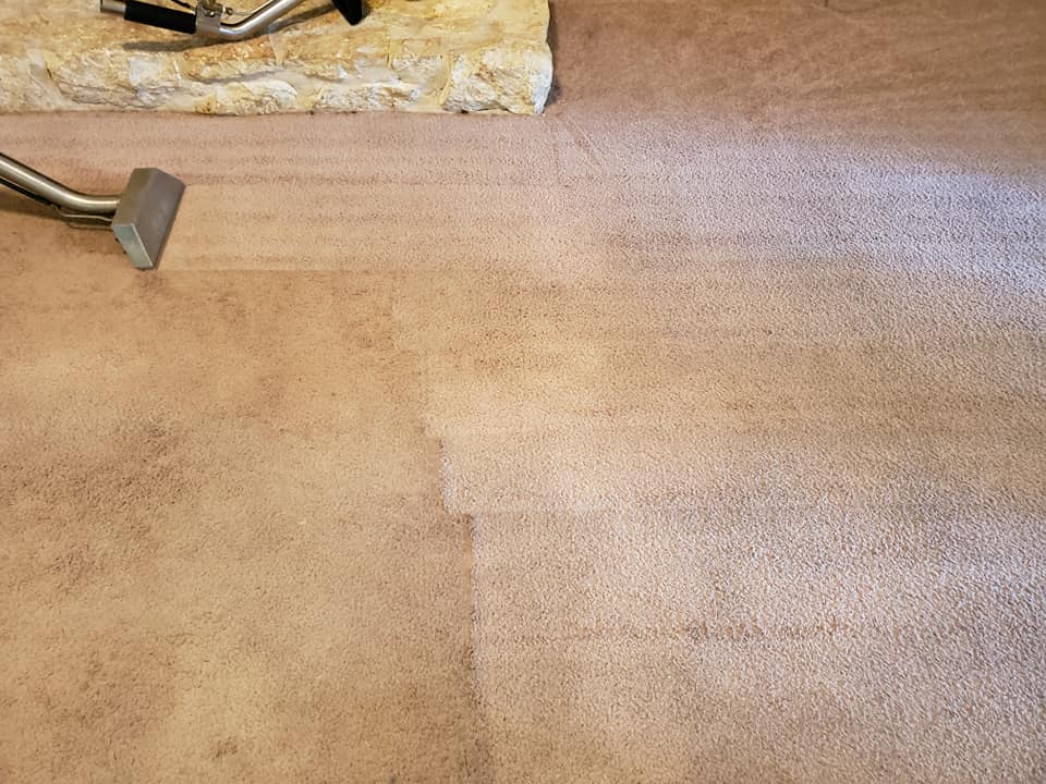 How to Choose the Best Carpet Cleaning Company Near You