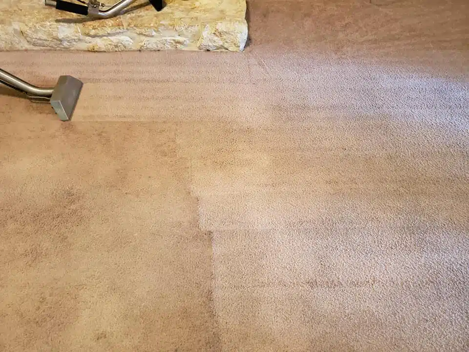 How to Choose the Best Carpet Cleaning Company Near You