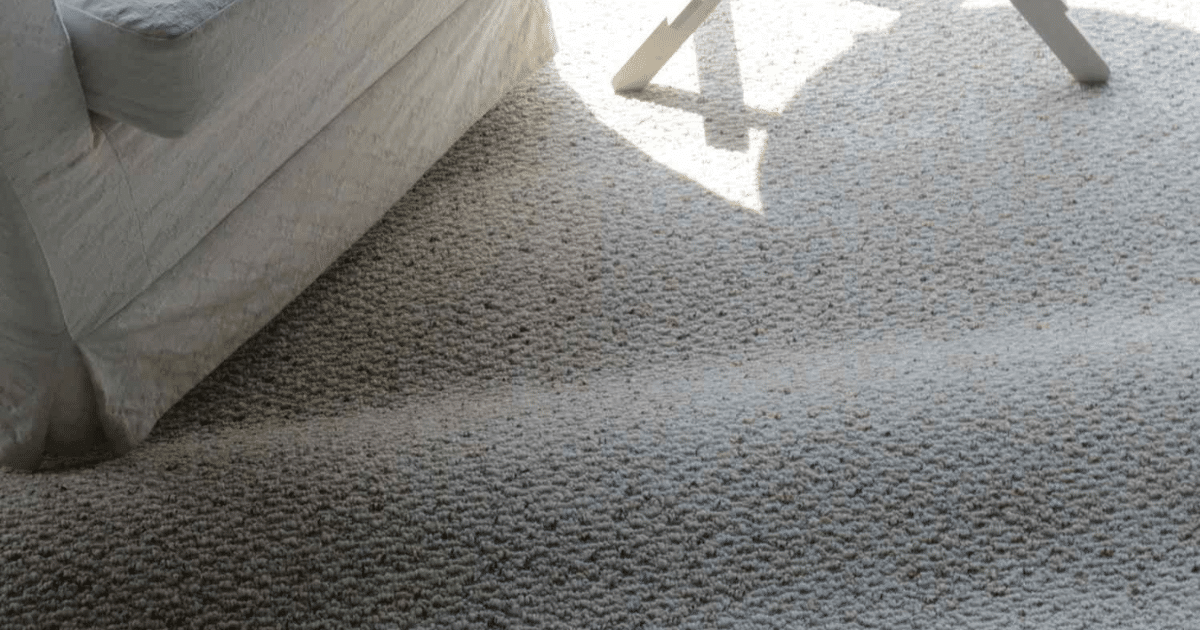 Carpet Cleaning Across the Texas Hill Country: One Local Team, Every Town We Serve