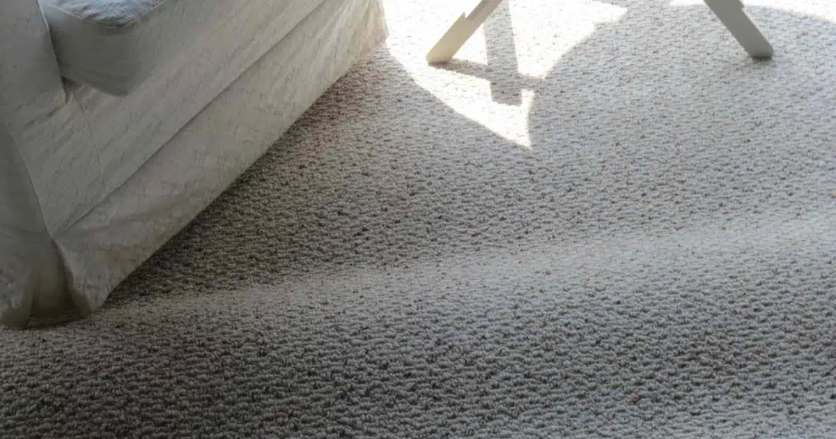 Carpet Cleaning Across the Texas Hill Country: One Local Team, Every Town We Serve