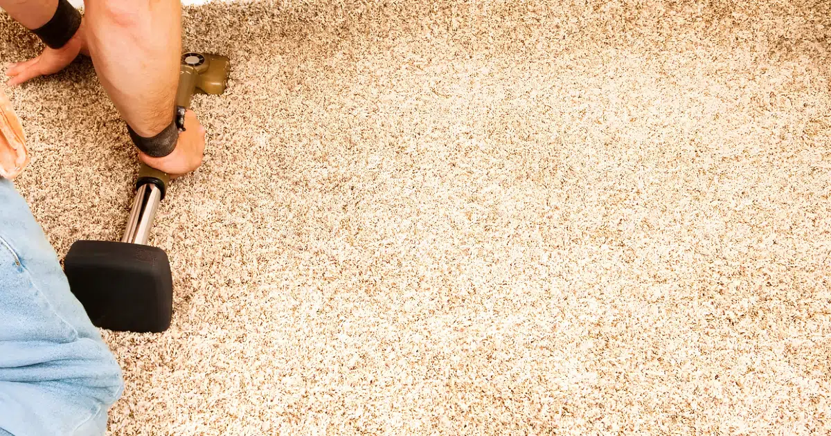 Carpet Stretching & Repair: Fixing Wrinkles, Ripples & Pet Damage Without Replacing