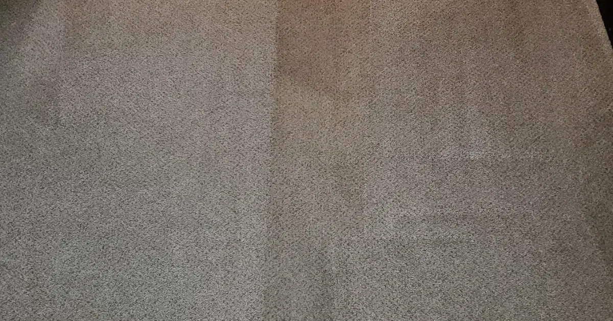 Commercial & Office Carpet Cleaning in Austin: What Property Managers Should Know